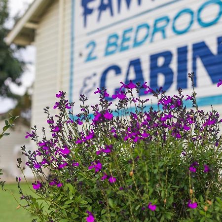 Golfers Inn Tenterfield Exteriér fotografie