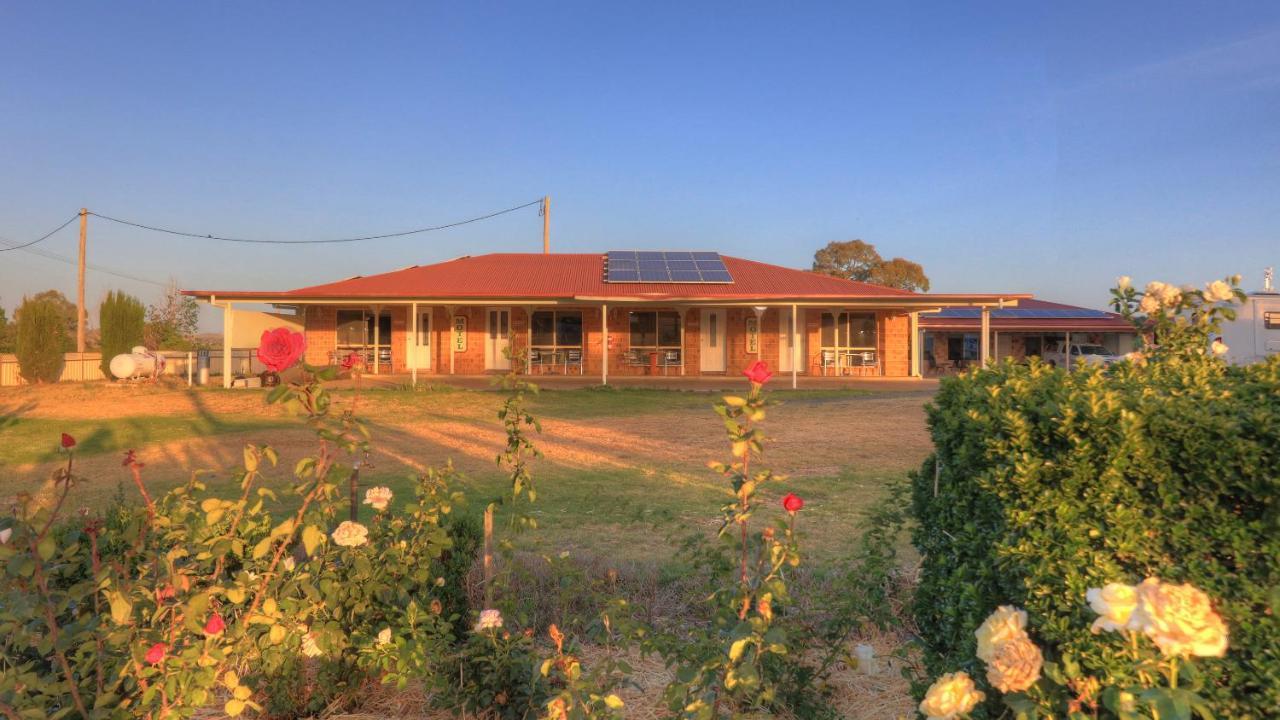 Golfers Inn Tenterfield Exteriér fotografie